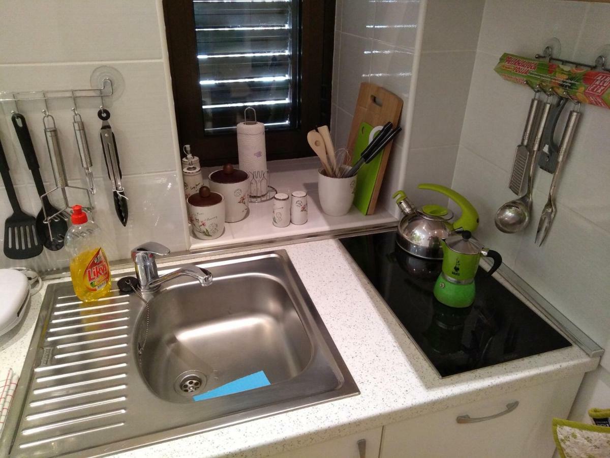 רייקה Central Zagrad Apartment מראה חיצוני תמונה